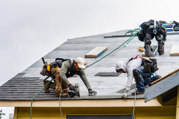 Professional Gutter Installation technician working in Braidwood, IL